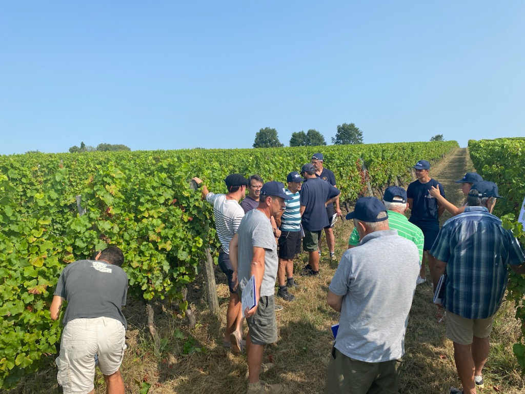 attachment1724161161981