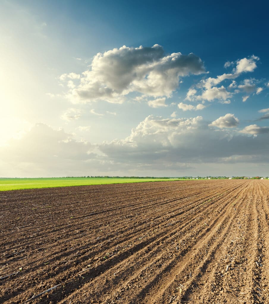 Vaste champ labouré en sillons bruns sous un ciel dramatique avec soleil intense à gauche et nuages gris.
