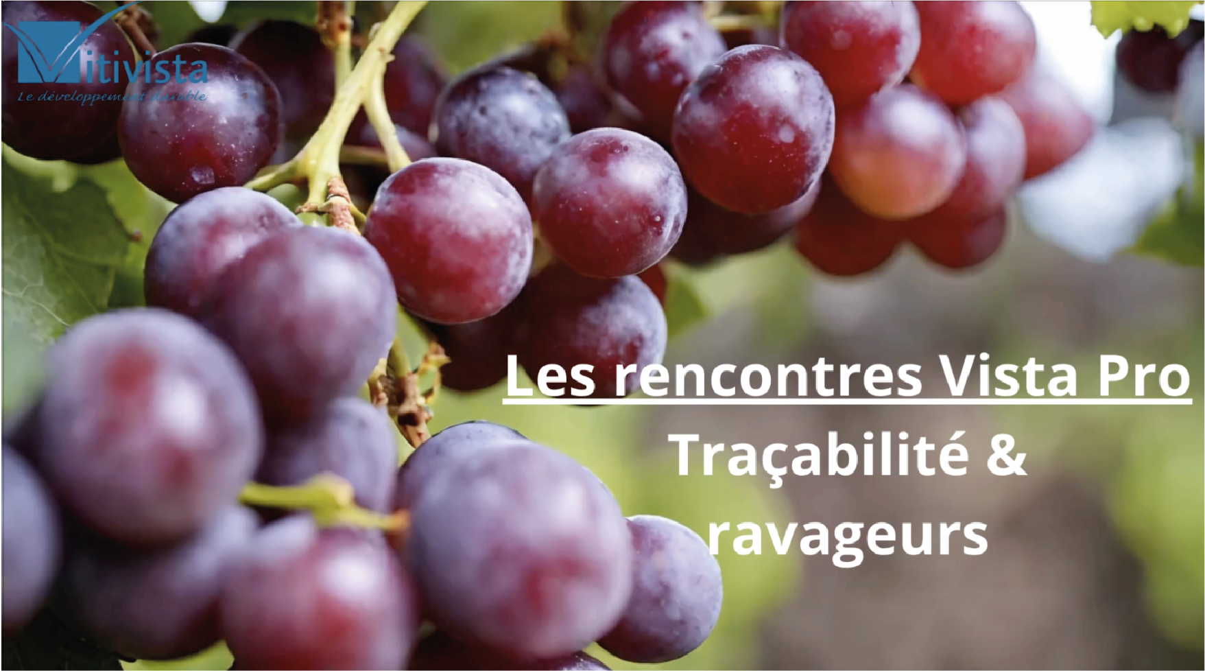 traçabilité et ravageurs